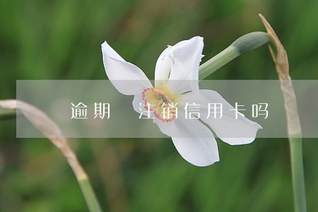 逾期 注销信用卡吗 逾期 注销信用卡吗